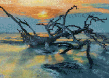 Driftwood Sunrise